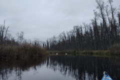 IMG20221111073015