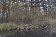 IMG20221111075027