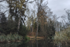 IMG20221111075435
