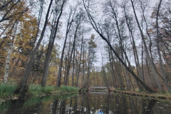 IMG20221111080754