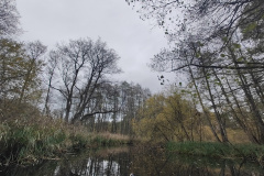 IMG20221111081315