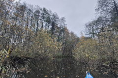 IMG20221111081415