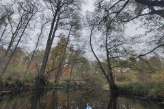 IMG20221111082514