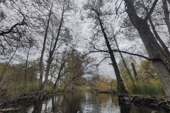 IMG20221111082911