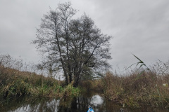 IMG20221111083206