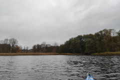 IMG20221111084713
