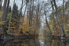 IMG20221111091120