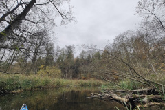 IMG20221111091619