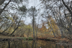 IMG20221111091920