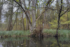 IMG20221111092635