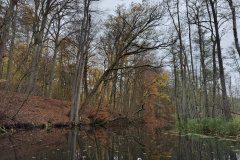 IMG20221111093514