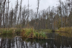 IMG20221111094900