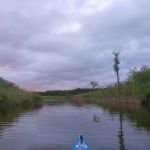 Bucholz-Müritz-Priborn-Im-Langen-Ort-Nebel-Langhagensee-005