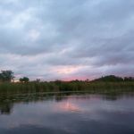 Bucholz-Müritz-Priborn-Im-Langen-Ort-Nebel-Langhagensee-007