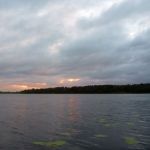 Bucholz-Müritz-Priborn-Im-Langen-Ort-Nebel-Langhagensee-009