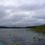 Bucholz-Müritz-Priborn-Im-Langen-Ort-Nebel-Langhagensee-010