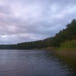 Bucholz-Müritz-Priborn-Im-Langen-Ort-Nebel-Langhagensee-011