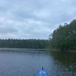 Bucholz-Müritz-Priborn-Im-Langen-Ort-Nebel-Langhagensee-014