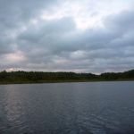 Bucholz-Müritz-Priborn-Im-Langen-Ort-Nebel-Langhagensee-018