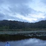 Bucholz-Müritz-Priborn-Im-Langen-Ort-Nebel-Langhagensee-020