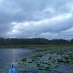 Bucholz-Müritz-Priborn-Im-Langen-Ort-Nebel-Langhagensee-021