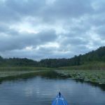 Bucholz-Müritz-Priborn-Im-Langen-Ort-Nebel-Langhagensee-022