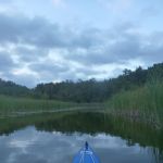 Bucholz-Müritz-Priborn-Im-Langen-Ort-Nebel-Langhagensee-025
