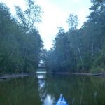 Bucholz-Müritz-Priborn-Im-Langen-Ort-Nebel-Langhagensee-028