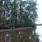 Bucholz-Müritz-Priborn-Im-Langen-Ort-Nebel-Langhagensee-029