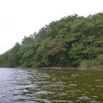 Bucholz-Müritz-Priborn-Im-Langen-Ort-Nebel-Langhagensee-058