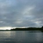 Bucholz-Müritz-Priborn-Im-Langen-Ort-Nebel-Langhagensee-060