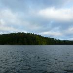 Bucholz-Müritz-Priborn-Im-Langen-Ort-Nebel-Langhagensee-062