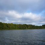 Bucholz-Müritz-Priborn-Im-Langen-Ort-Nebel-Langhagensee-064