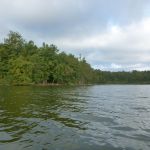 Bucholz-Müritz-Priborn-Im-Langen-Ort-Nebel-Langhagensee-065