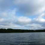 Bucholz-Müritz-Priborn-Im-Langen-Ort-Nebel-Langhagensee-066