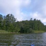 Bucholz-Müritz-Priborn-Im-Langen-Ort-Nebel-Langhagensee-067