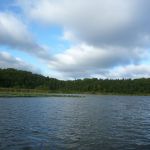 Bucholz-Müritz-Priborn-Im-Langen-Ort-Nebel-Langhagensee-076