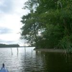 Bucholz-Müritz-Priborn-Im-Langen-Ort-Nebel-Langhagensee-078