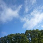 Bucholz-Müritz-Priborn-Im-Langen-Ort-Nebel-Langhagensee-084