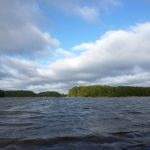 Bucholz-Müritz-Priborn-Im-Langen-Ort-Nebel-Langhagensee-085