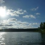 Bucholz-Müritz-Priborn-Im-Langen-Ort-Nebel-Langhagensee-097