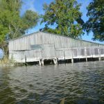 Bucholz-Müritz-Priborn-Im-Langen-Ort-Nebel-Langhagensee-102