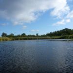 Bucholz-Müritz-Priborn-Im-Langen-Ort-Nebel-Langhagensee-106