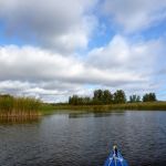 Bucholz-Müritz-Priborn-Im-Langen-Ort-Nebel-Langhagensee-107