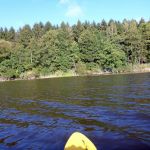 Bucholz-Müritz-Priborn-Im-Langen-Ort-Nebel-Langhagensee-116