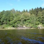 Bucholz-Müritz-Priborn-Im-Langen-Ort-Nebel-Langhagensee-118