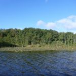 Bucholz-Müritz-Priborn-Im-Langen-Ort-Nebel-Langhagensee-120