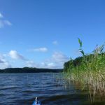 Bucholz-Müritz-Priborn-Im-Langen-Ort-Nebel-Langhagensee-122