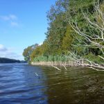 Bucholz-Müritz-Priborn-Im-Langen-Ort-Nebel-Langhagensee-125