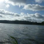 Bucholz-Müritz-Priborn-Im-Langen-Ort-Nebel-Langhagensee-127